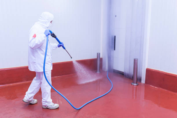 Trusted Country Club Estates, GA Pressure Washing Services Experts
